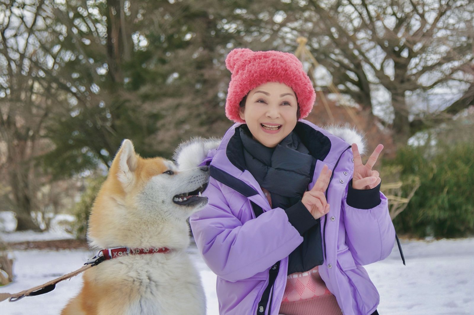 《老少女奇遇記2》跑4趟日本「遇地震、暴風雪」　楊貴媚曝預算超過3千萬
